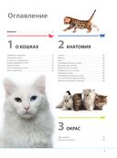 Кошки. Самая полная иллюстрированная энциклопедия — фото, картинка — 1