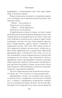 Шаровая молния — фото, картинка — 12