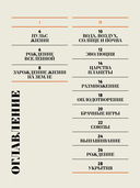 Чудесная книга жизни — фото, картинка — 1