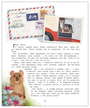 Вокруг света с кошками. География в конвертах — фото, картинка — 3