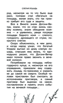 Большая книга про лошадок — фото, картинка — 10