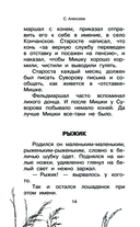 Большая книга про лошадок — фото, картинка — 13