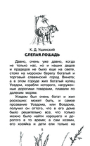 Большая книга про лошадок — фото, картинка — 4