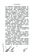 Большая книга про лошадок — фото, картинка — 7