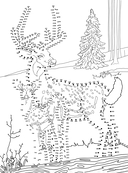 Животные. Рисуем по точкам — фото, картинка — 1