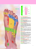 Китайский массаж стоп. Иллюстрированное руководство по точечному массажу — фото, картинка — 12