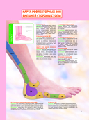 Китайский массаж стоп. Иллюстрированное руководство по точечному массажу — фото, картинка — 14