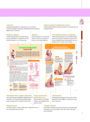 Китайский массаж стоп. Иллюстрированное руководство по точечному массажу — фото, картинка — 8