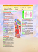 Китайский массаж стоп. Иллюстрированное руководство по точечному массажу — фото, картинка — 10