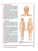 Спортивный массаж и вспомогательные приемы — фото, картинка — 23