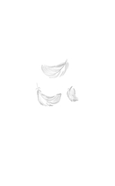 Иди через темный лес. Дилогия — фото, картинка — 1