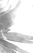 Иди через темный лес. Дилогия — фото, картинка — 2