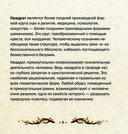 Таро Шаманского мира (78 круглых карт и руководство в коробке) — фото, картинка — 9