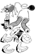 Самая безумная книга всех времён — фото, картинка — 14