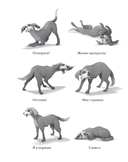 Боб, единственный и неповторимый — фото, картинка — 1