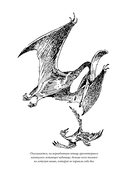 Приключения Алисы. Привидений не бывает — фото, картинка — 26