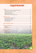 Перец. Богатый урожай без ошибок — фото, картинка — 3