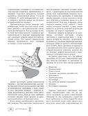 Биохакинг без границ. Обновите мозг, создайте тело мечты, остановите старение и станьте счастливым за 1 месяц — фото, картинка — 14