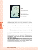 Моя швейная машина. Все секреты шитья от А до Я — фото, картинка — 10