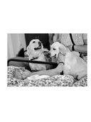 Быть волонтером — фото, картинка — 14