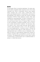 Всё о кино за 12 часов: краткая история кинематографа — фото, картинка — 9