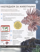 Подводный мир. Полная энциклопедия — фото, картинка — 1