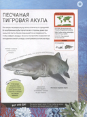 Подводный мир. Полная энциклопедия — фото, картинка — 2