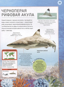 Подводный мир. Полная энциклопедия — фото, картинка — 3