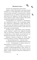 Поцелованный солнцем — фото, картинка — 8