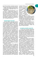 Прогулки по Черногории — фото, картинка — 17