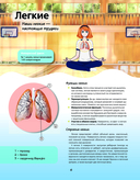 Атлас анатомии в стиле манга — фото, картинка — 4