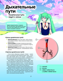 Атлас анатомии в стиле манга — фото, картинка — 5