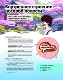 Атлас анатомии в стиле манга — фото, картинка — 7