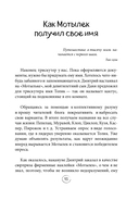 Через всю Россию на трех колесах! Авантюрное путешествие от Санкт-Петербурга до Владивостока — фото, картинка — 15