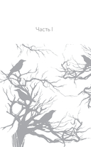 Сказ о Владе-вороне — фото, картинка — 9