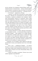 Сказ о Владе-вороне — фото, картинка — 14