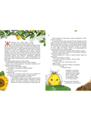 Гора самоцветов — фото, картинка — 3