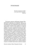 Капитанская дочка — фото, картинка — 40