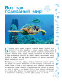 Морские животные — фото, картинка — 5