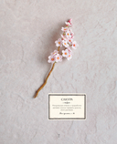 Вязаная флористика. Японское искусство вязания цветочных украшений крючком — фото, картинка — 11