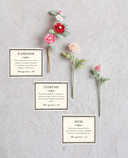 Вязаная флористика. Японское искусство вязания цветочных украшений крючком — фото, картинка — 12