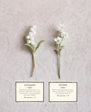 Вязаная флористика. Японское искусство вязания цветочных украшений крючком — фото, картинка — 5