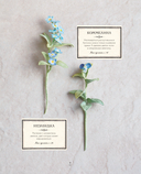 Вязаная флористика. Японское искусство вязания цветочных украшений крючком — фото, картинка — 8