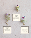 Вязаная флористика. Японское искусство вязания цветочных украшений крючком — фото, картинка — 9