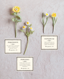 Вязаная флористика. Японское искусство вязания цветочных украшений крючком — фото, картинка — 10