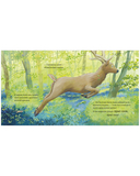 Каждый из нас чудо! — фото, картинка — 8