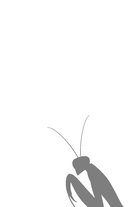 Моя милая психопатка — фото, картинка — 1