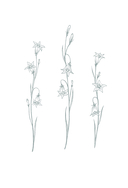 Предатель из параллельного — фото, картинка — 2