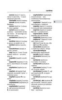 Современный французско-русский русско-французский словарь: более 150 000 слов и выражений — фото, картинка — 53