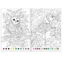 Раскраски по номерам 